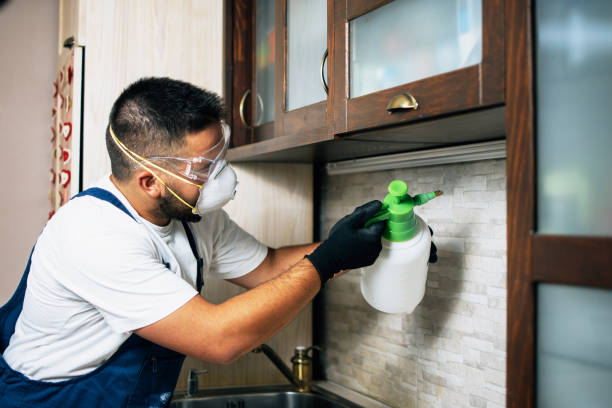 Insect Control in Cypress, CA