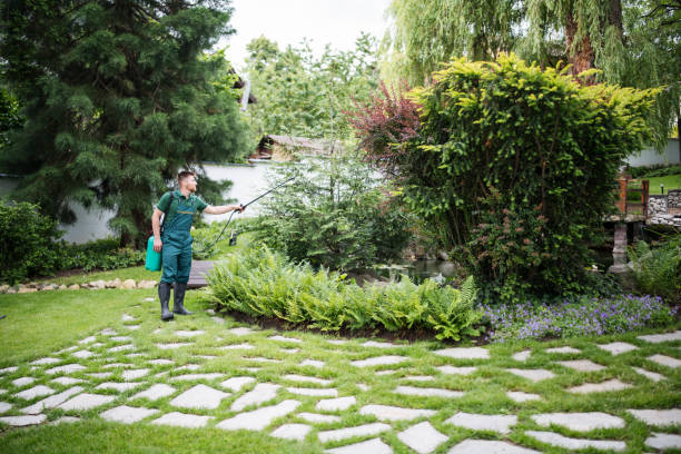Best Commercial Pest Control Services  in Cypress, CA