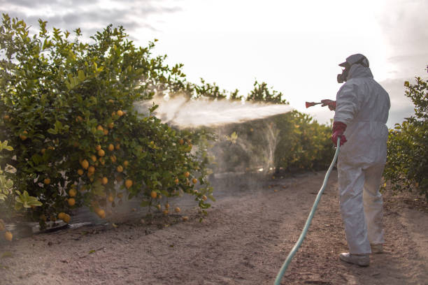 Best Best Pest Control Companies  in Cypress, CA