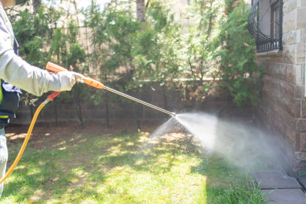 Pest Prevention Services in Cypress, CA