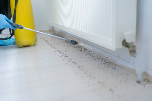 Wildlife Control Services in Cypress, CA