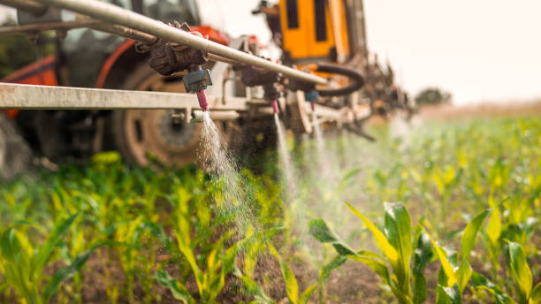Best Mosquito Control Services  in Cypress, CA